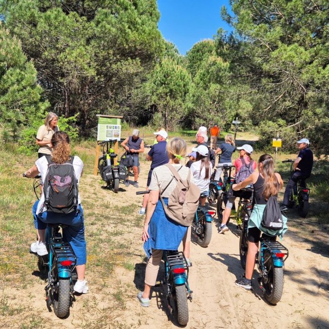 Grand E-Bike Tour: Val Grande around its entire perimeter. AFTERNOON