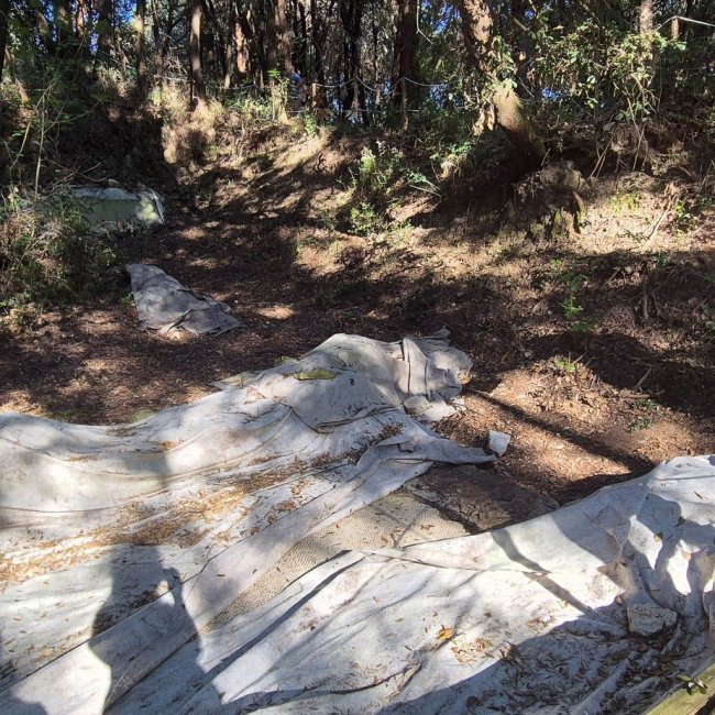 Sulle tracce dei Romani - visita archeologica in Val Grande ORE 17:30
