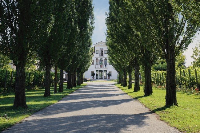 Casa Paladin wine tour - Annone Veneto