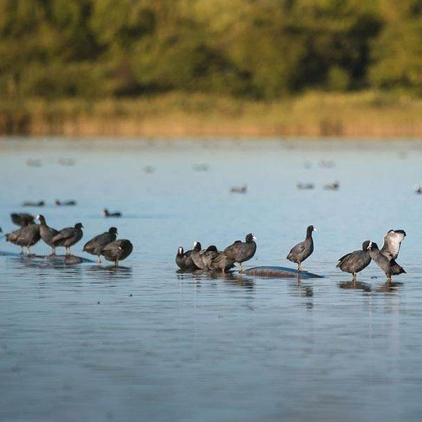 Valgrande Bibione – guided walking tour